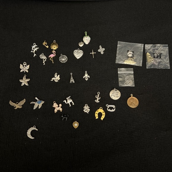 The Unbranded Brand Other - Mixed Charm Lot Jewelry Animals Beach Tropical Paris Fairy Cruise Ship Craft Lot
